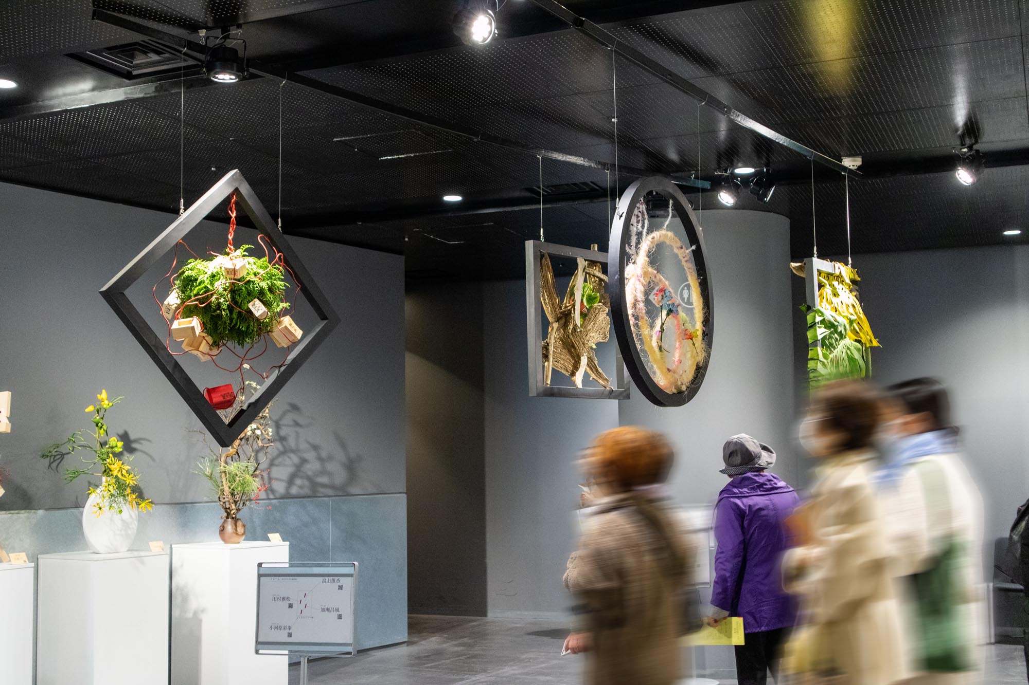 20221118_いけばな龍生展 植物の貌2022-003