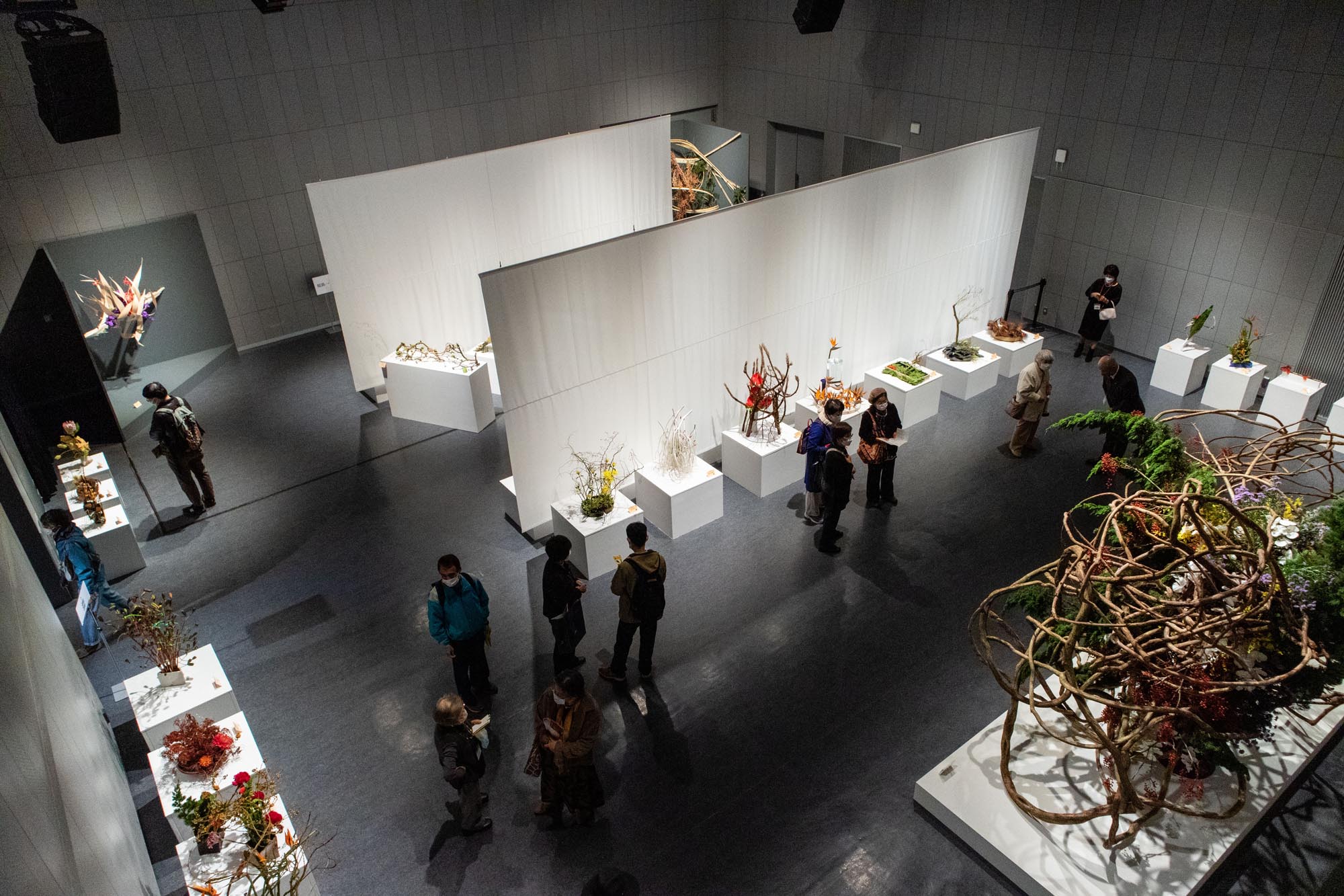 20221118_いけばな龍生展 植物の貌2022-004